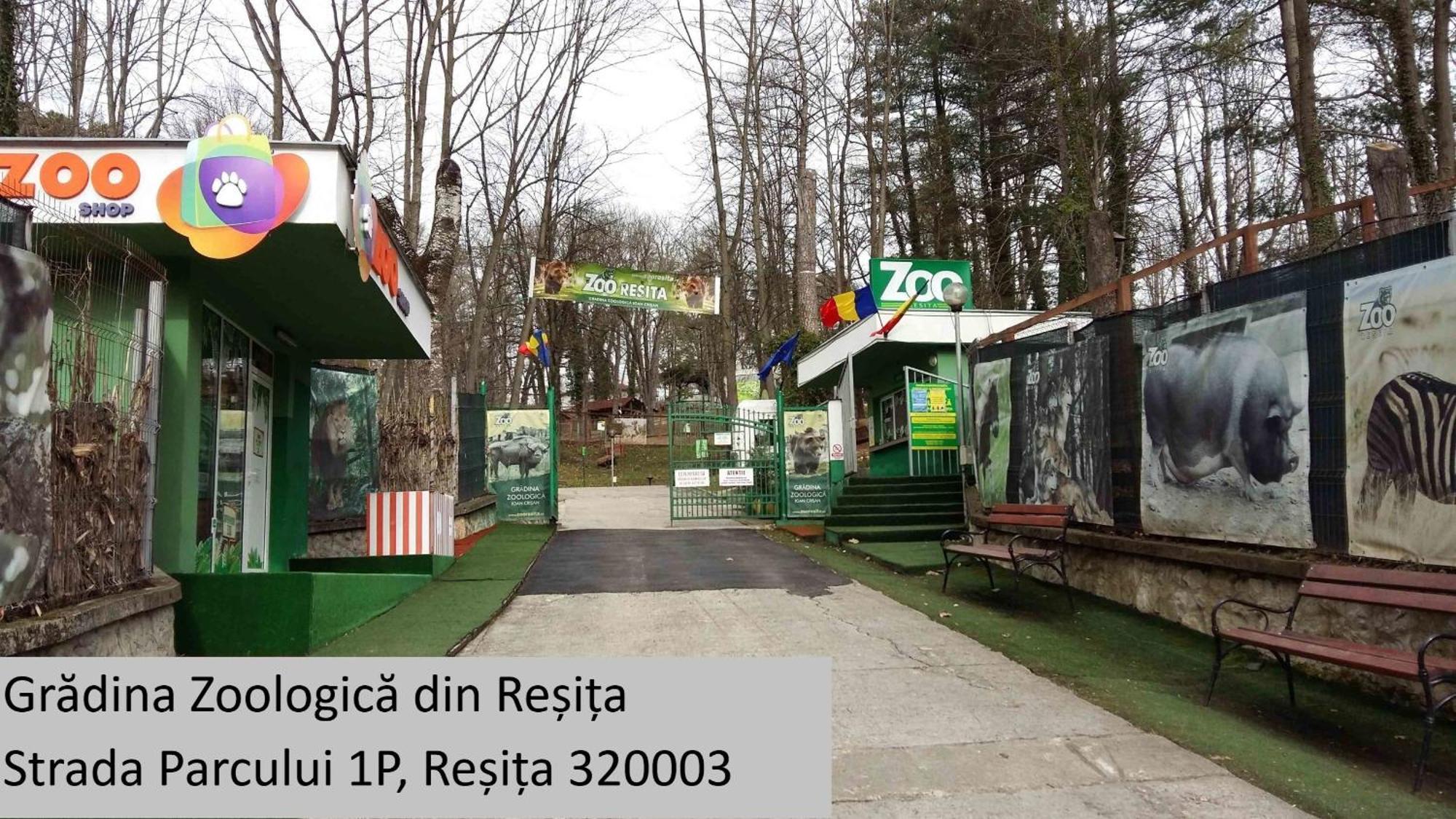 Ferienwohnung Casa Rusu -Victoria-Self Check In-24H Resita Exterior foto